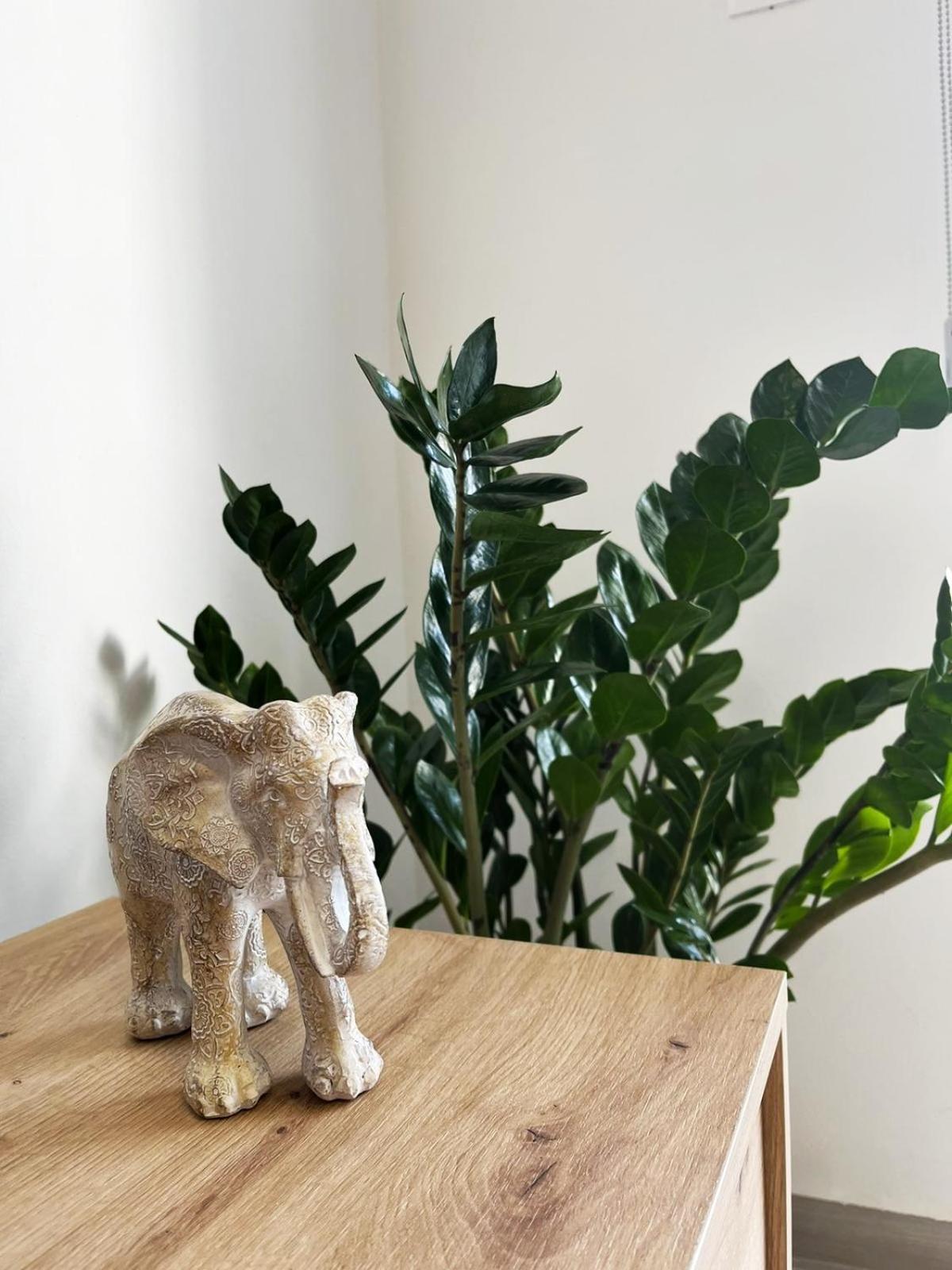 Apartment Unlock The Island - Local Insights For Your Larnaca